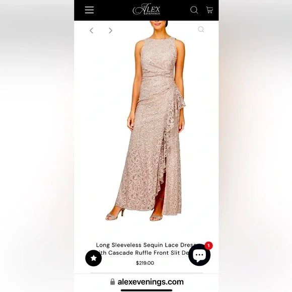 Alex evenings gown - Picture 1 of 5